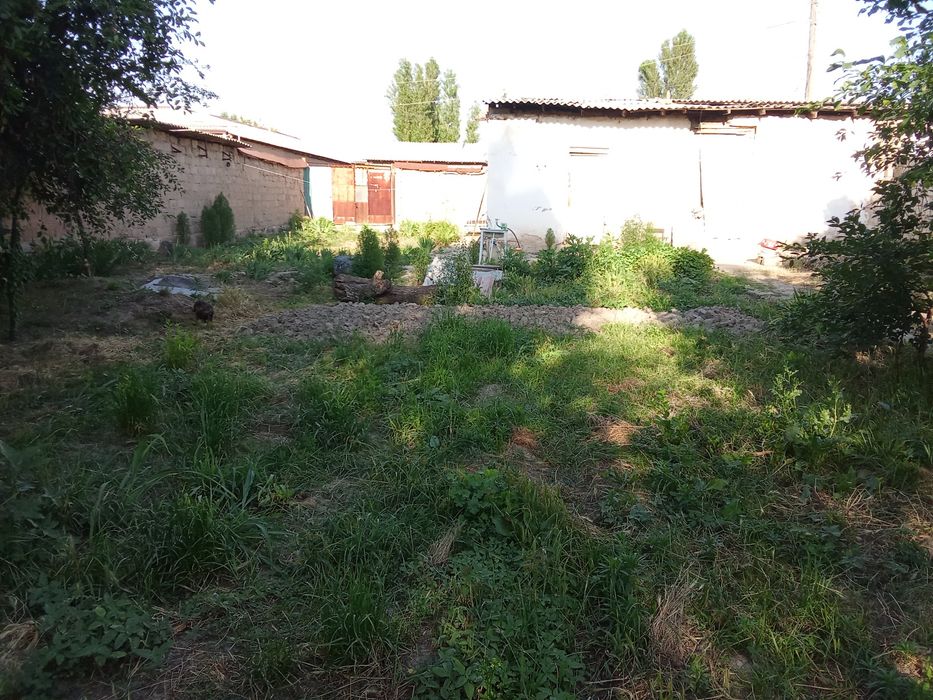 Yuqori Chirchiq Baliqchi  xovli sotladi