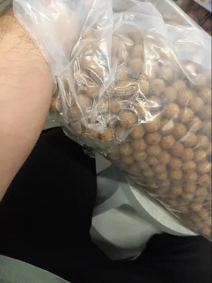 Boilies Pescuit la Crap Wellmix Instant - produs resigilat Decathlon