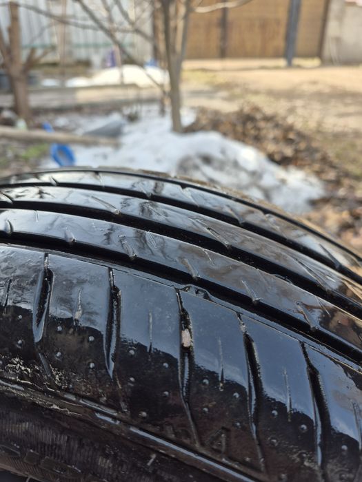 Шины летние Nexen