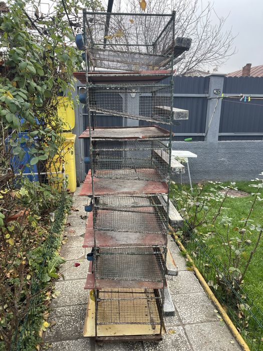 Cuști pentru prepelite