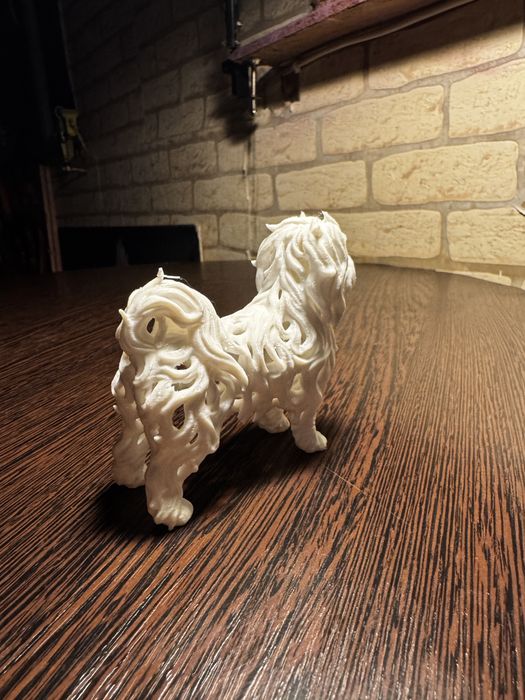 Маленькая белая балонка