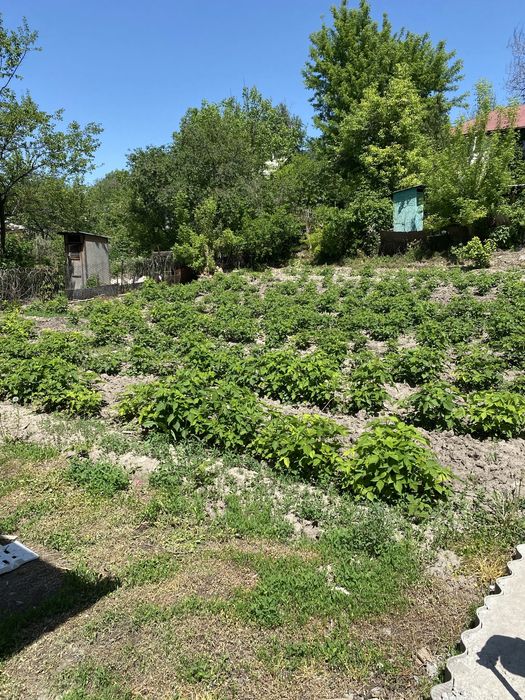 Продам дома в городе Талгар !!!