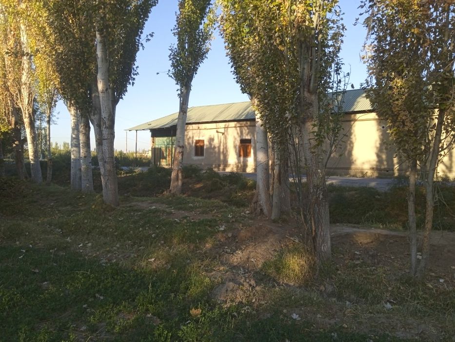 Sifati yaxshi qurtlamagan arzon