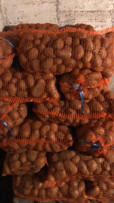 Cartofi consum galbeni si roșii