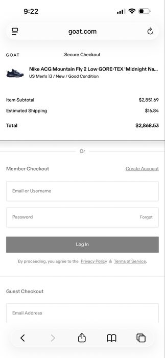 Nike ACG Mountain Fly 2 - Originali (marimea 46, 12 US)