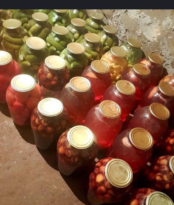 Соленья этого года