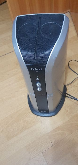 Roland PM-03. Monitor activ 2in1.