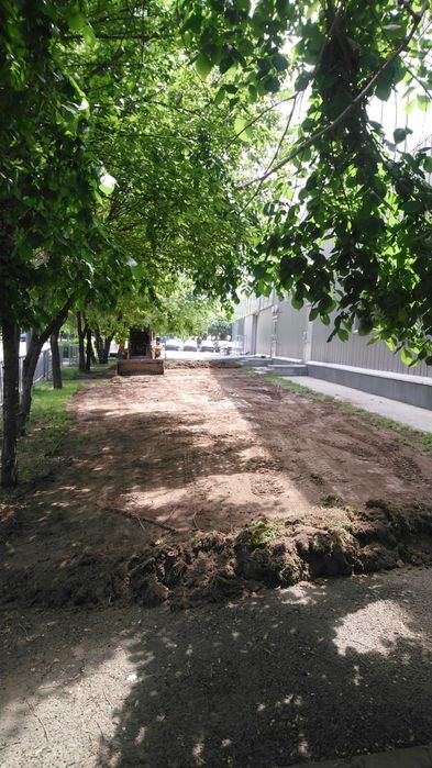 Посев газона с гарантией