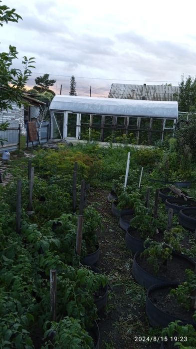 Продам дом. Село Чаглинка