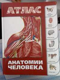 Анатомический атлас Фредерик Делавье