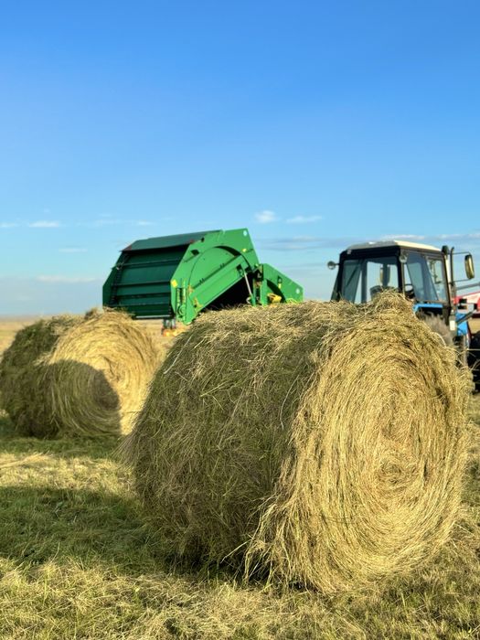 Сено плотное разнотраве