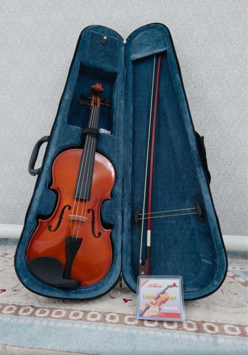 Скрипка FLIGHT FV-144