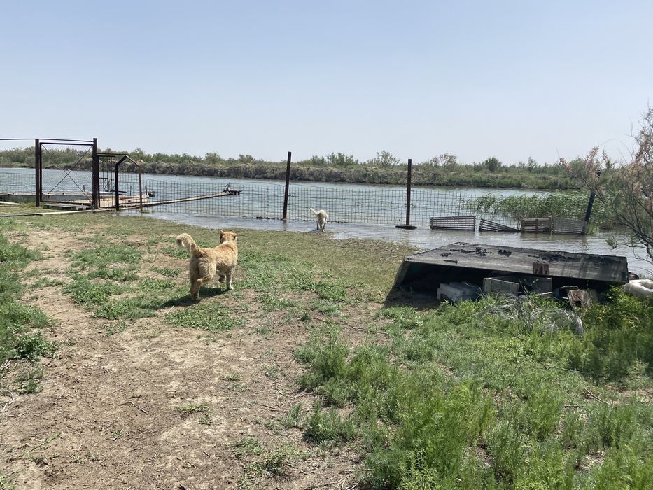 Крестьянкое хозяйство в Атырау