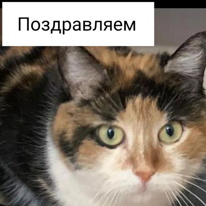Томирис ждёт свою любимую семью