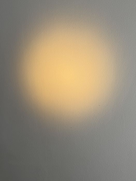 Lampa bioptron zepter XL