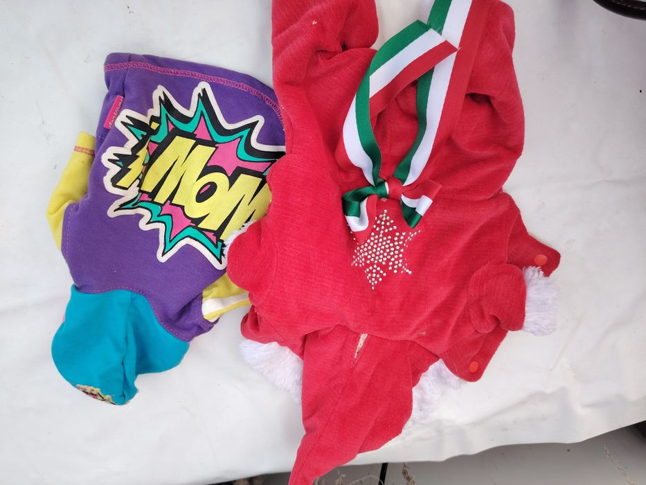 Одежда для собак