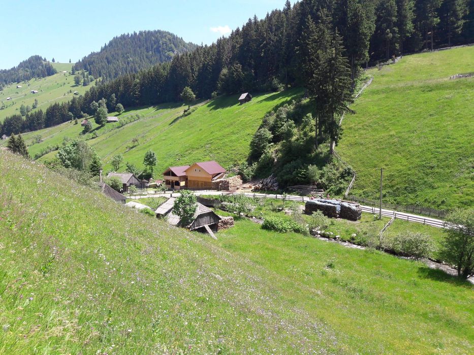 Casa bătrânească și teren pretabil casa vacanta