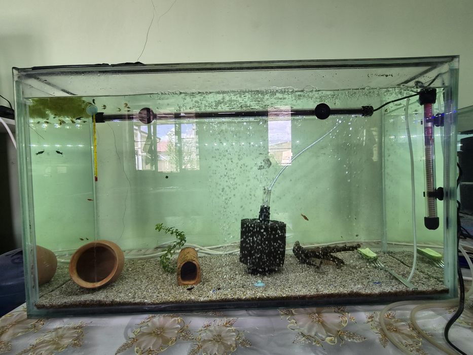 Аквариум 2 дона 200 л ва 1 дона 130 л сотилади