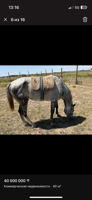 Фазенда в посёлк Исаевта