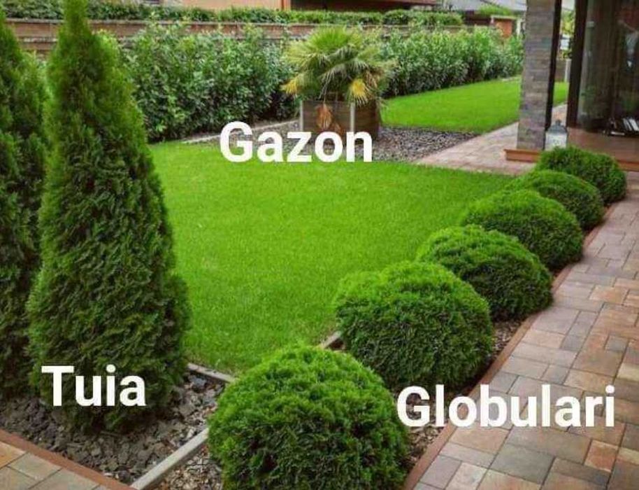 Gazon Rulou Sisteme de Irigare