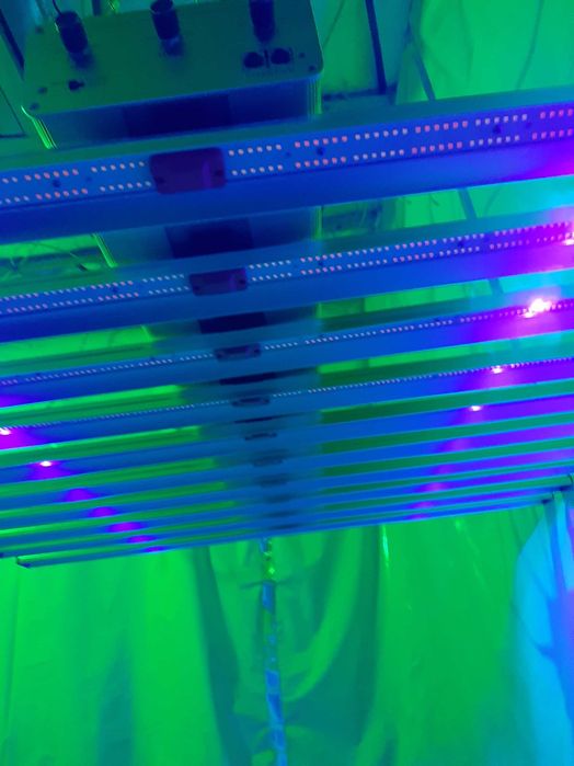 Green Sensation 1000W led grow lights
