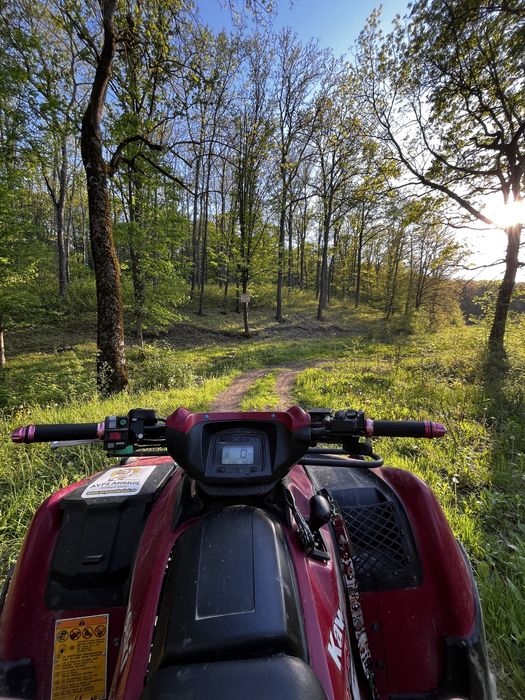 Kawasaki Brute Force 750