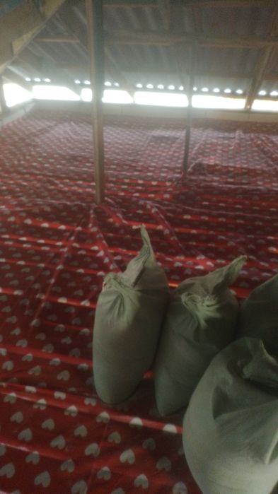 Пена ломбоз хзмати