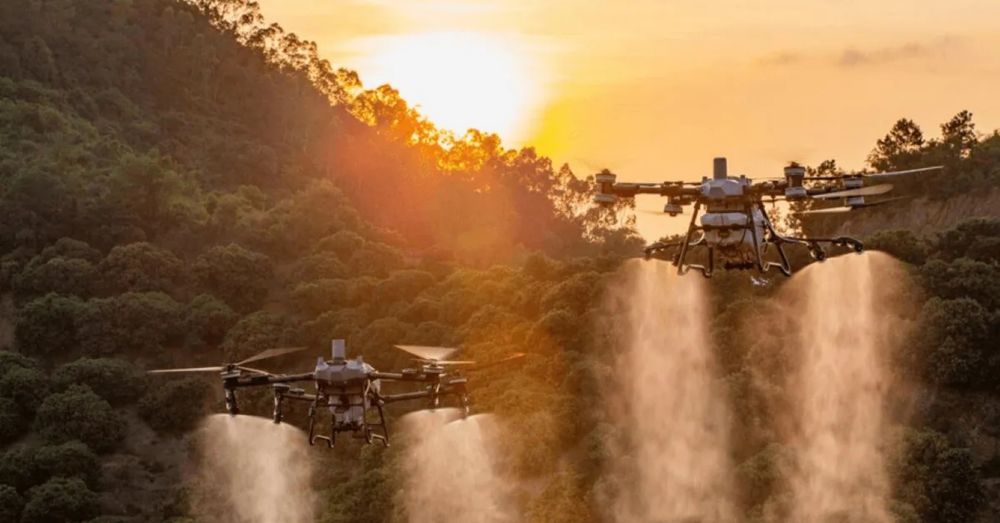 Prestări Servicii Tratamente și Împrăștiere cu Drona DJI Agras T100