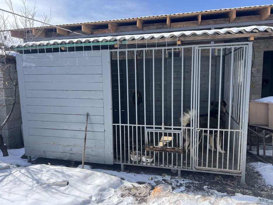 Продам вальер делали под заказ