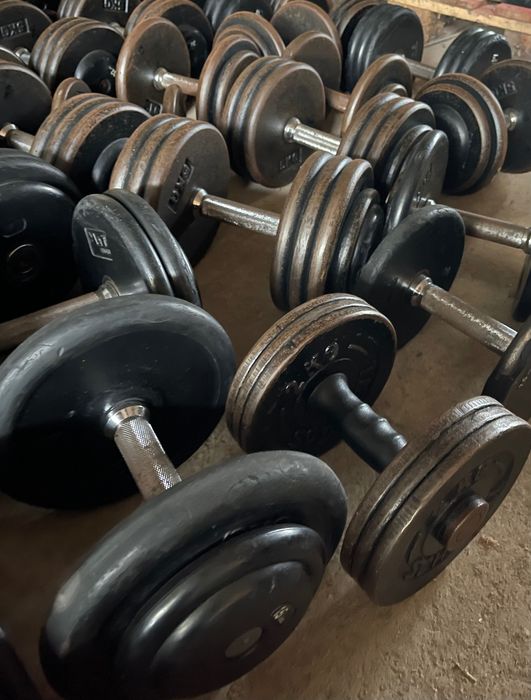 Gantere sala/gym/fitness