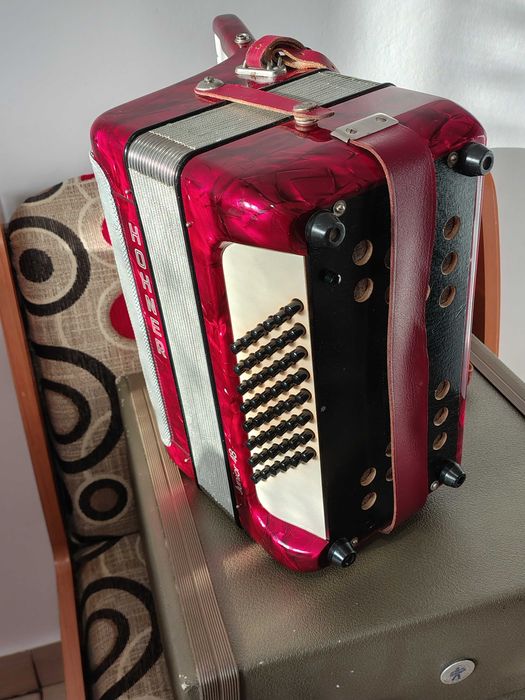 Acordeon 48 basi Hohner Junior