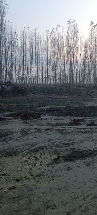 Noturar yer sotiladi