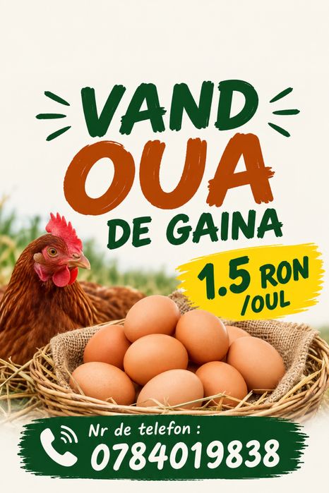 Oua de gaina/ 1leu/40 oua