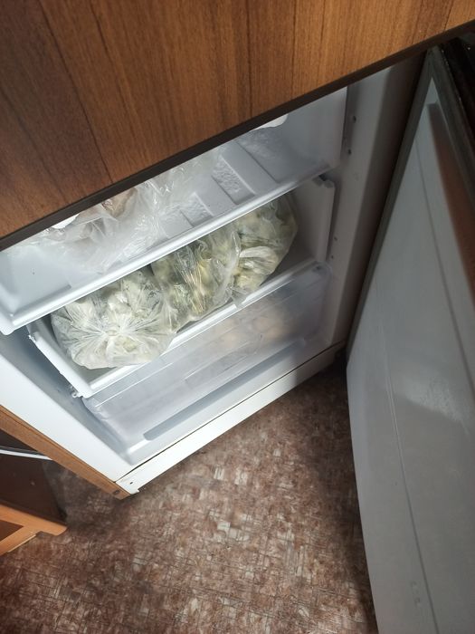 Продам холодильник INDESIT