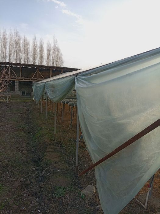 Parnik temir tersaklari sotiladi