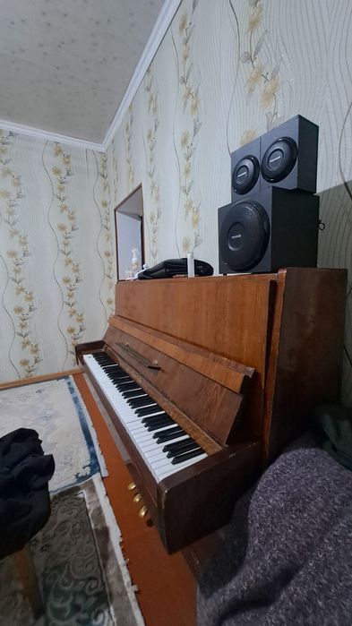 Алам деушілер келіп көруге болады !!!