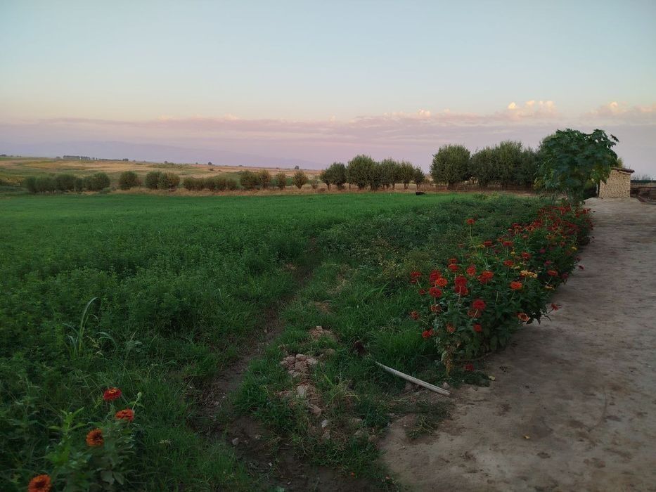 Үй сотилади 1 гектар 30 сотикик