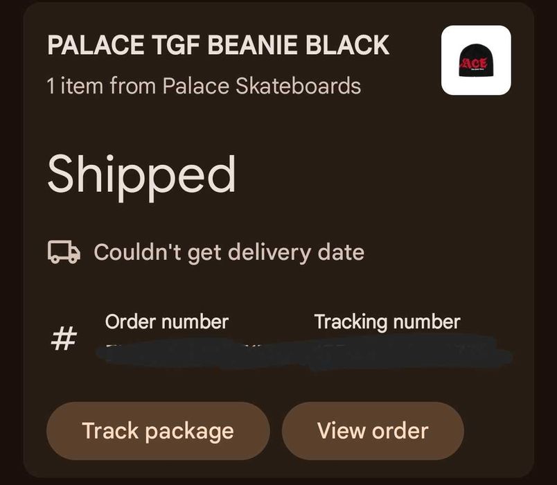 Palace tgf beanie