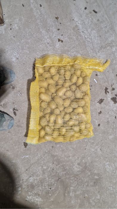 Cartofi Franta, de consum si de plantat.