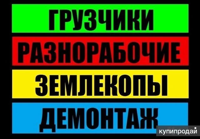 Разнорабочие и грузчики