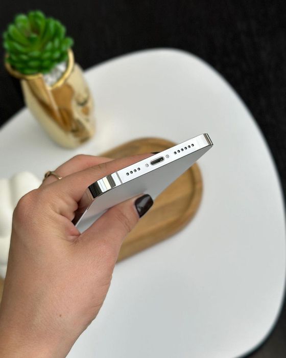 iPhone 14 Pro Max 256 Gb Silver Neverlock