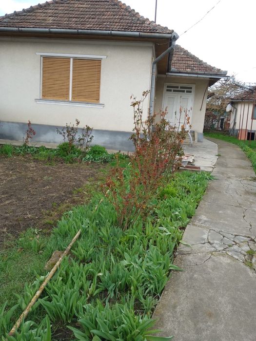 Vand 2 case in Campia Turzii