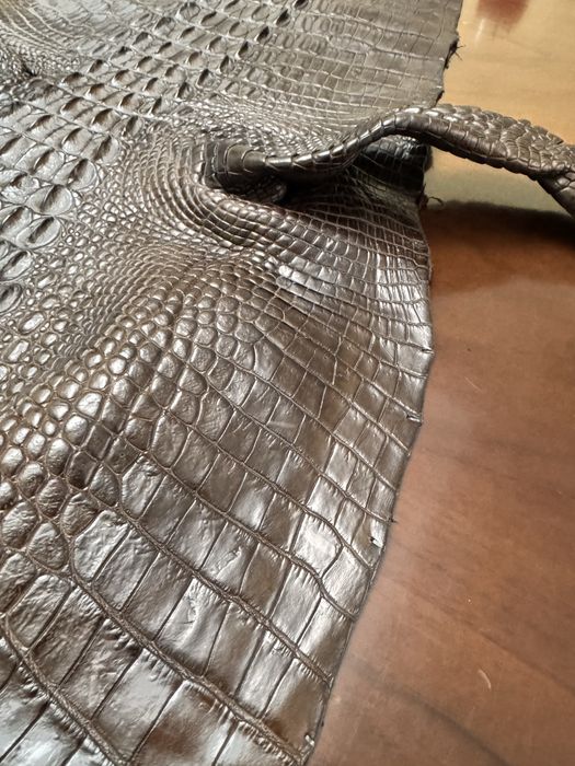 Кожа крокодила настоящая