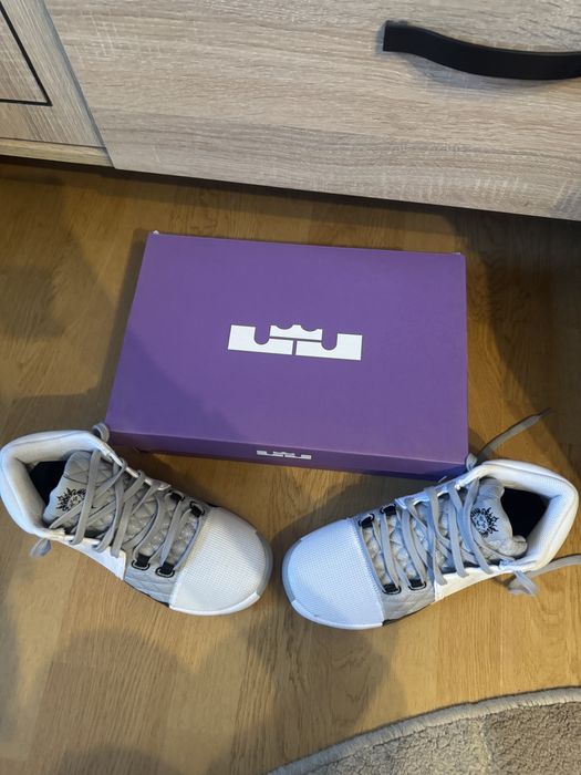 Adidasi Nike Lebron Witness 8