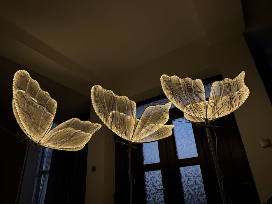 Decor evenimente