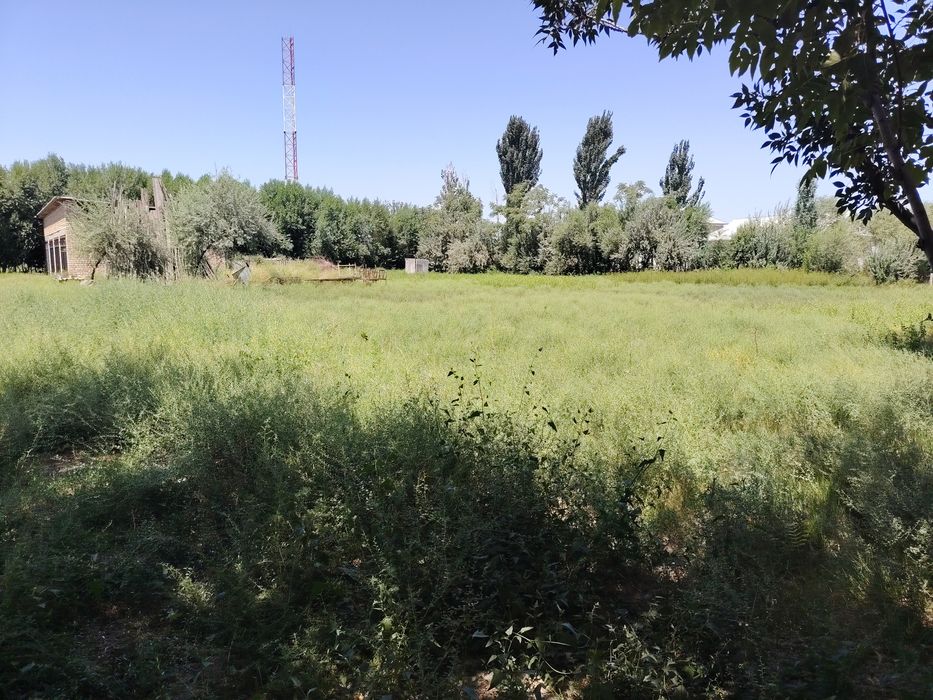 30 sotix yer + bino sotiladi. Narx kelishiladi.