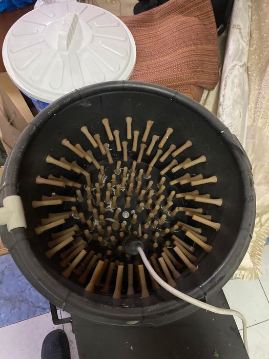 Инкубатор для перепелиных яиц, на 2000 яич