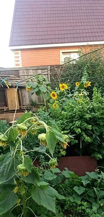 Продажа 3х комнатного дома