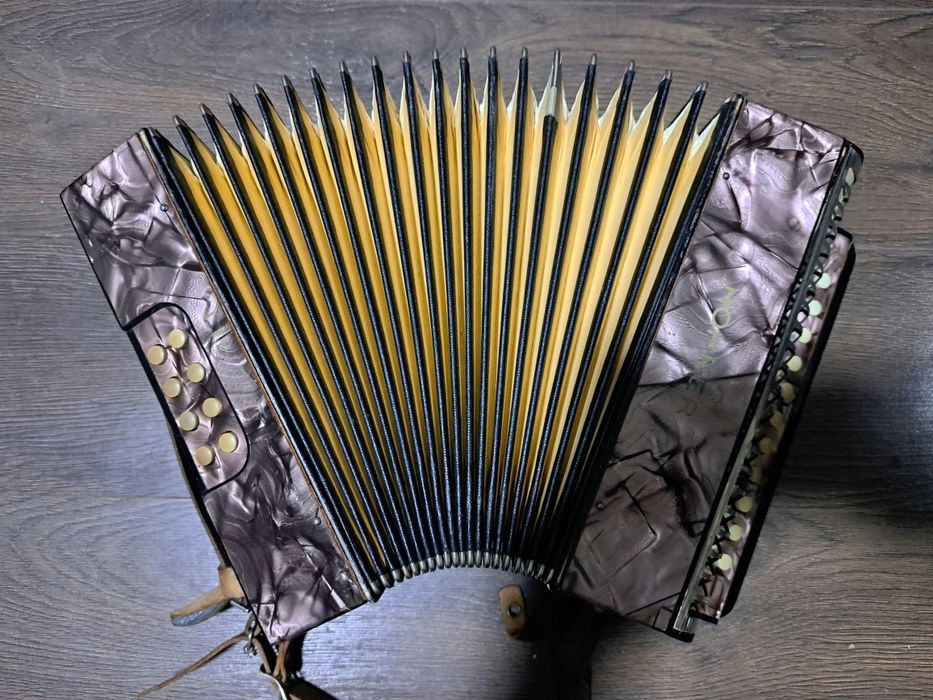 Acordeon Hohner Liliput