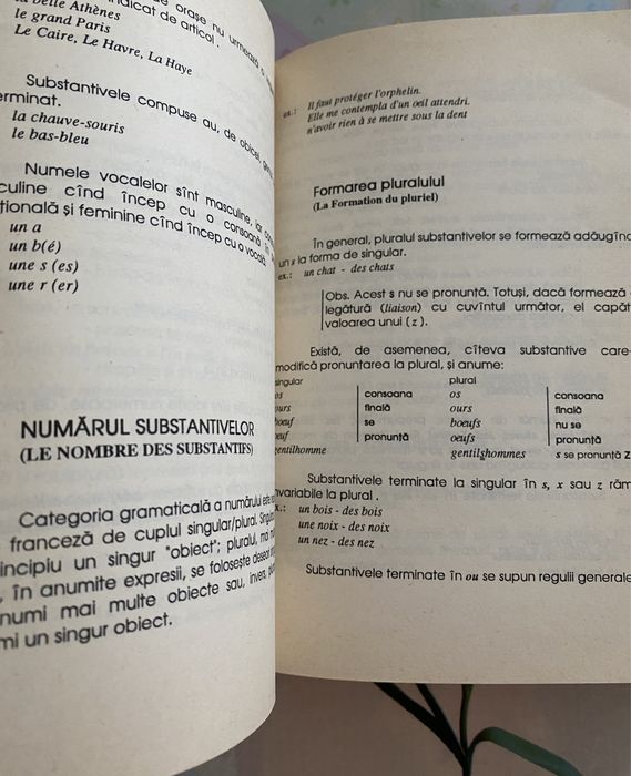 Gramatica lb. franceze-Anca Cosaceanu